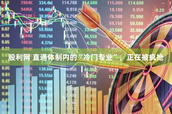 股利网 直通体制内的“冷门专业”，正在被疯抢