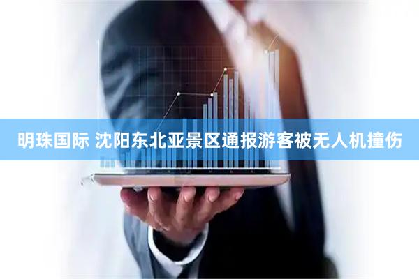 明珠国际 沈阳东北亚景区通报游客被无人机撞伤